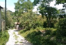 Guerrero Natural Park景点图片