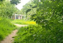 Balaam Wood Orchard景点图片
