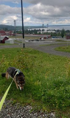 Östersunds skidstadion-厄斯特松德