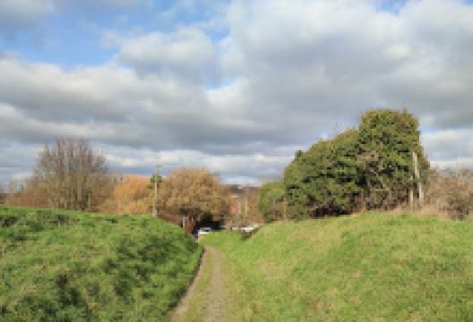 Zraat Mangal زراعت د منګلو کلی景点图片