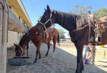 Marina Equestrian Center Park景点图片
