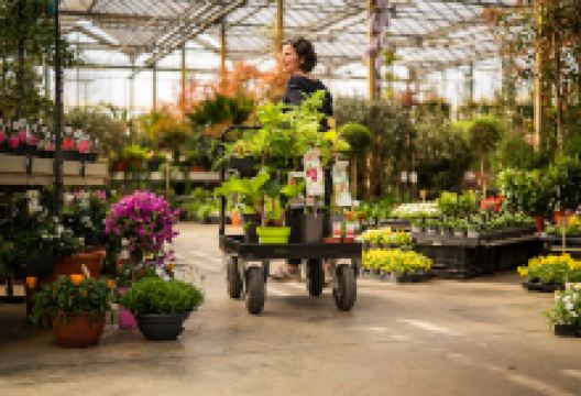 Plantencentrum Van Goidsenhoven cvba购物图片