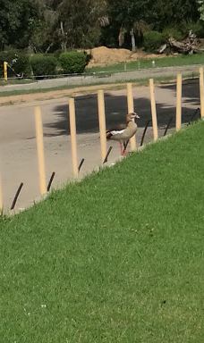 Rhema Bible Church North-兰德堡