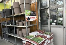 Garden Center Tielens购物图片