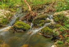 Cascades West Conservation Area景点图片