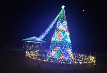 Rudolph Elder Park景点图片