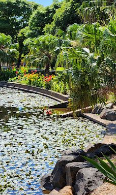 卧龙岗植物园-Keiraville