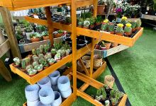 Horncastle Garden Centre购物图片