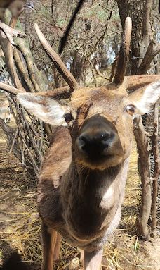La Pequeña África-加的斯省
