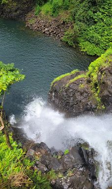 Ko'olau Forest Reserve-茂宜县