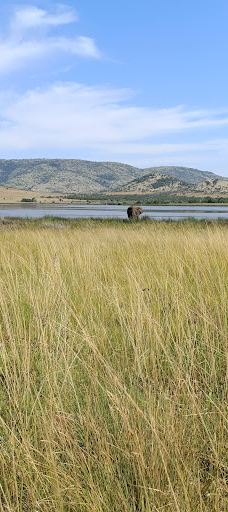 Bakubung Gate Pilanesberg National Park-Bojanala