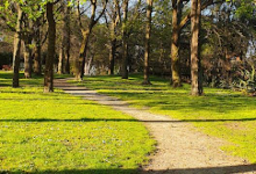Taumatakahu Stream Reserve景点图片