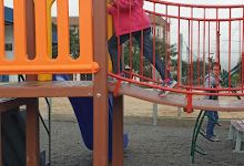 Parque da rodoviária景点图片