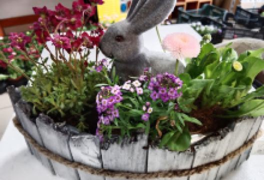 Ogrodnictwo Łukasz Orczyk购物图片