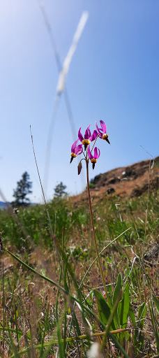 Catherine Creek Day Use Area/Trailhead-克利基塔特县