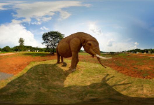 Municipal Park Dona Ziza景点图片