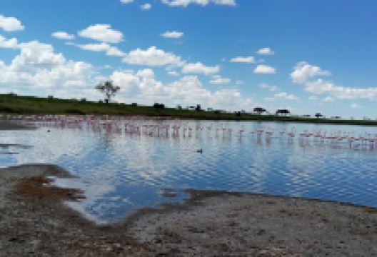 Lake Magadi景点图片