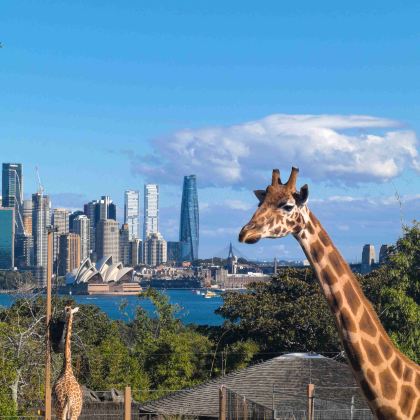 澳大利亚墨尔本+悉尼7日6晚私家团