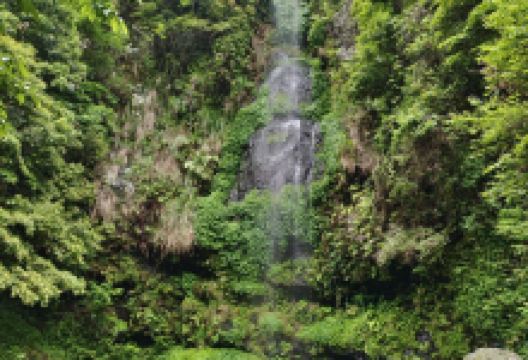 鹰嘴界国家级自然保护区景点图片