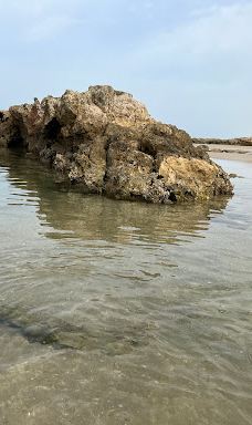 Sharon Reserve-Hof HaSharon