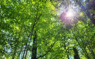 Aggertalh?hle Ründeroth