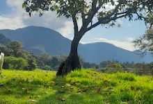 Crucero de Miraflores景点图片