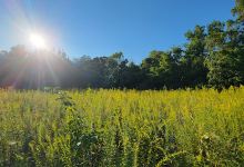Stillwater Prairie Reserve景点图片