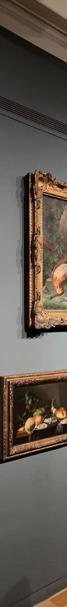 曼彻斯特美术馆-曼彻斯特