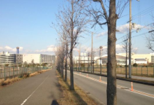 舞洲运动岛景点图片