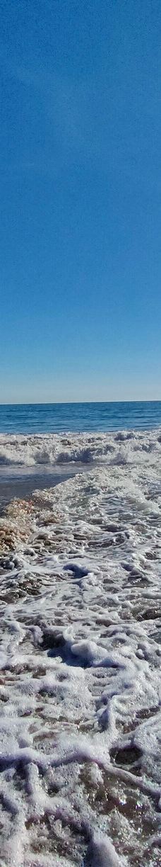 Seacliff State Beach-阿普托斯