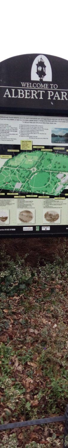 Albert Park-米德尔斯堡