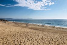 Marina State Beach景点图片