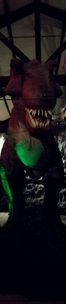 Musee des Dinosaures 'Dinosauria'-埃斯佩拉扎