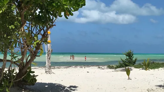 Cozumel Pearl Farm