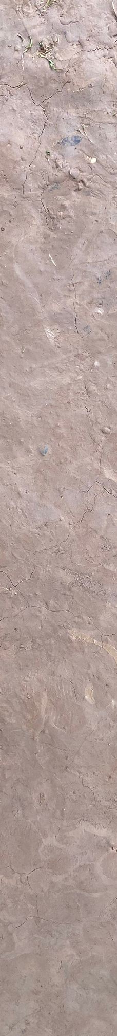 Barfusspfad Bad Sobernheim-索伯恩海姆