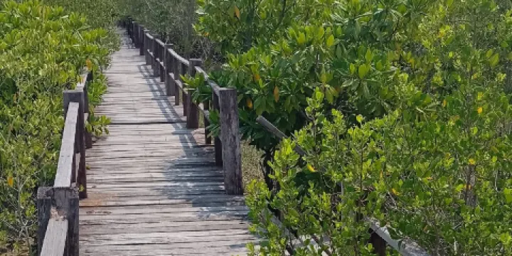 Sirindhorn International Environmental Park