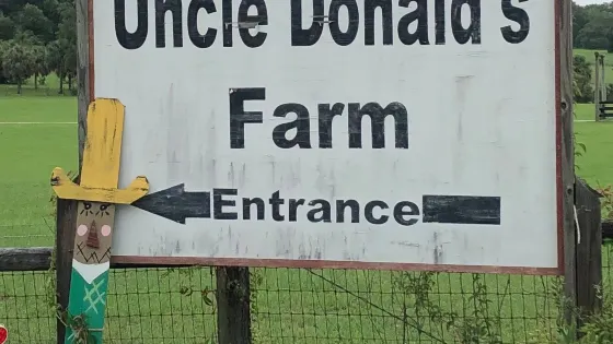 Uncle Donald's Farm