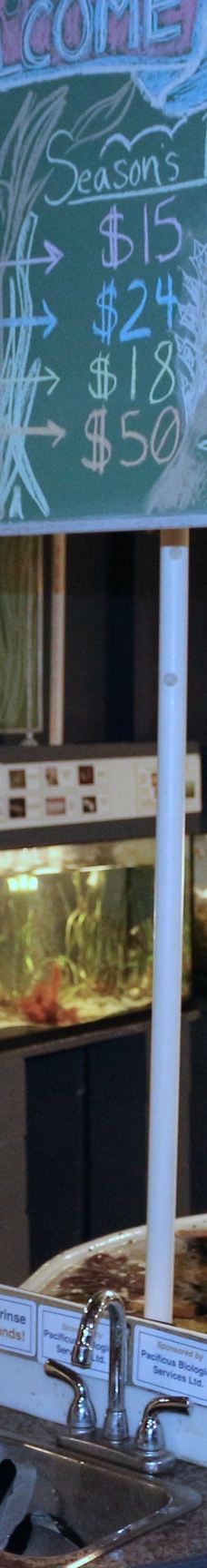 Discovery Passage Aquarium-坎贝尔河