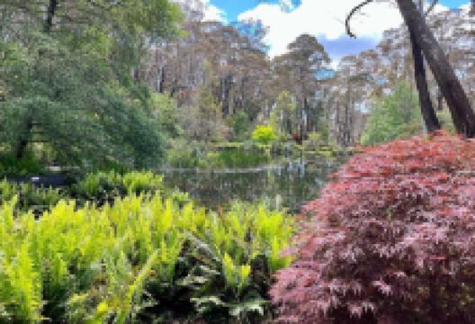 The Campbell Rododendron Gardens景点图片