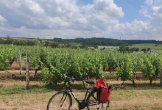 Azay le Rideau Cycles购物图片