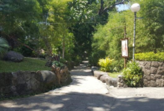 Mary Immaculate Parish - Nature Church景点图片