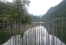 自然湖景点图片