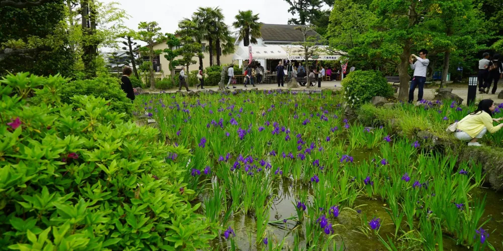 永安旅遊