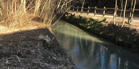 Mulino Faletti-Sanchini