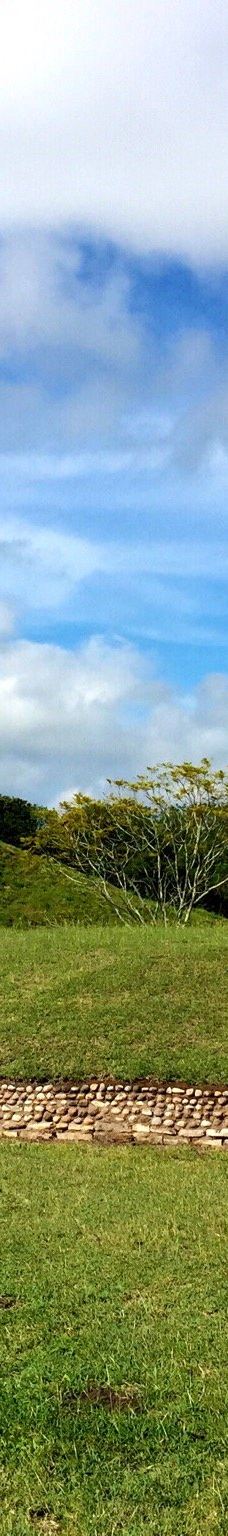 Tamtoc Archaeological Site-圣路易斯波托西州