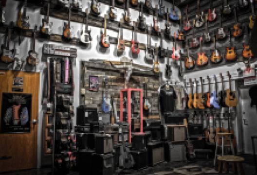 DeMont Guitars购物图片