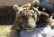 Wokutakula Wildlife Education景点图片