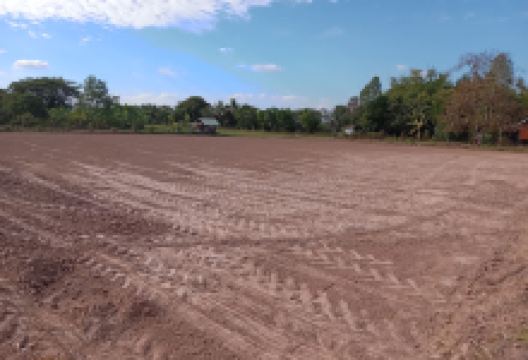 Wat Don Pho景点图片