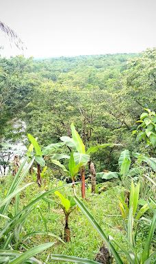 Sendero eco turístico de Tutunendo-图图嫩多