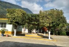 Árbol de la vida景点图片